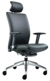 Ergo Office Chair