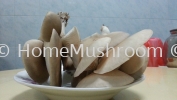 Abalone Mushroom Abalone Mushroom