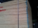 plywood plywood