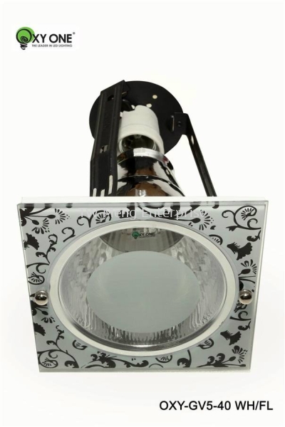 Conventional Down Light - GV5-40