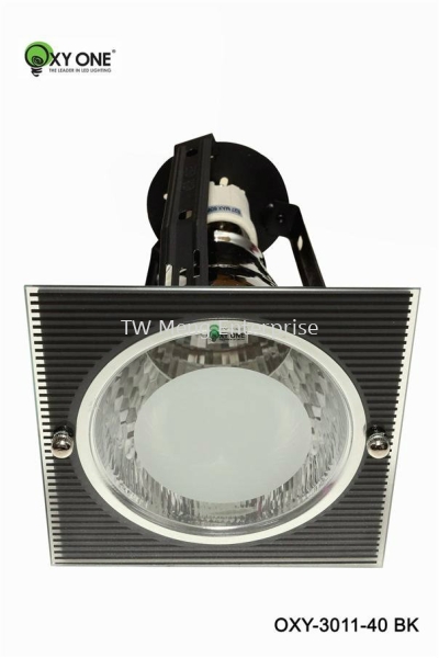 Conventional Down Light - 3011-40-BK