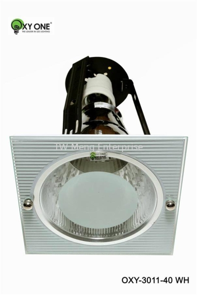 Conventional Down Light - 3011-40-WH