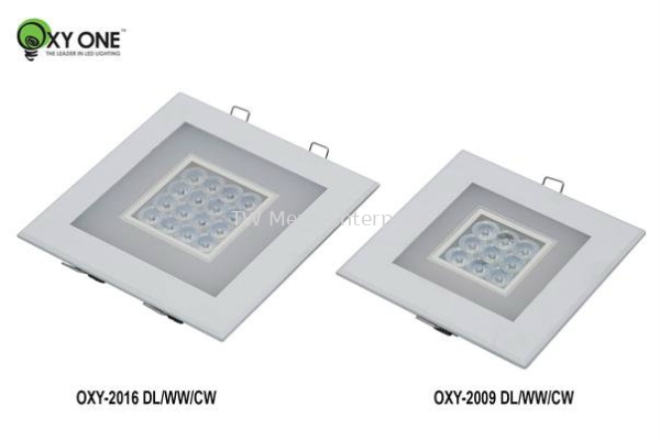 LED Down Light - OXY 2009