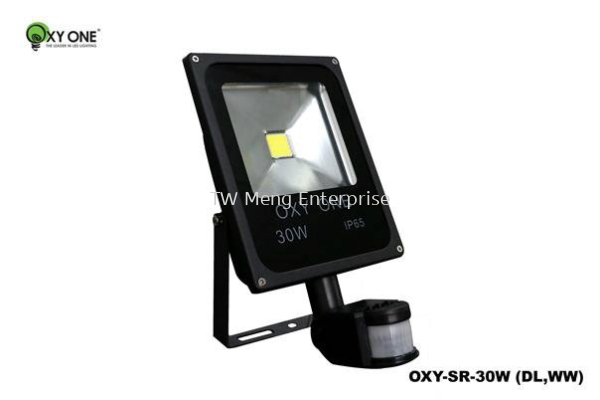 LED Spot Light - OXY-SR-30W