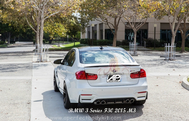 BMW 3 Series F30 2015 M3 Bumperkits 