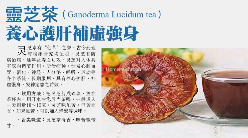 Ganoderma Lucidum Tea