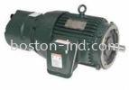 Hensen EQPIII Brake motor NEMA Premium Efficiency HANSON / Hensen Electric Motori Induction Motor