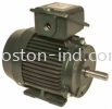 Hensen Totally Enclosed Fan Cooled Motor (Top Mount) IEC & NEMA STRANDRAD PREMIUM HIGH EFF HANSON / Hensen Electric Motori Induction Motor