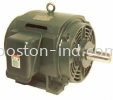 Hensen Open Drip Proof Motor HANSON / Hensen Electric Motori Induction Motor