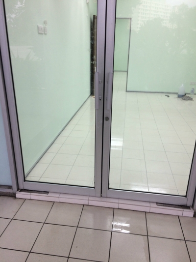 Aluminium Swing Door