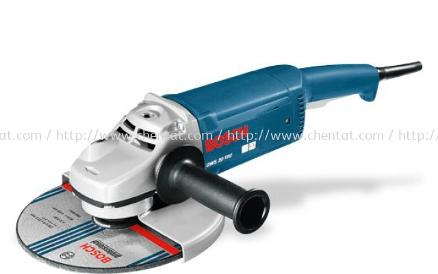 Bosch GWS 20-180 Professional