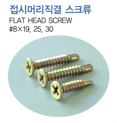 Flat Head Screw