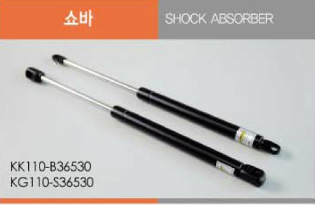 Shock Absorber