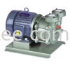 Direct drive liquid ring vacuum pump Pumps (liquid ring vacuum pump)