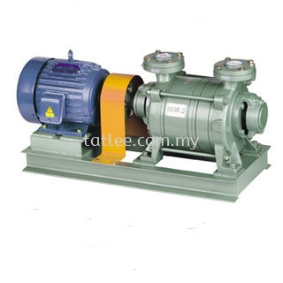 Double stage liquid ring vacuum pump