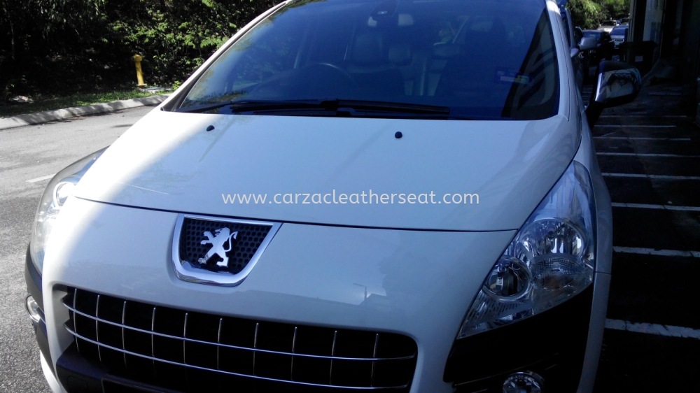 Peugeot 3008 Peugeot Car Leather Seat and interior 