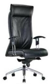 NX-110 DIRECTOR SERIES OFFICE SEATING