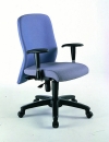 C II MANAGERS SERIES OFFICE CHAIRS