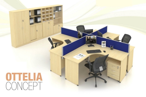 Ottelia Concept