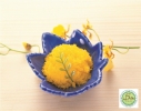 Seasoned Fish Roe Yellow / Halal Ebiko Yellow / Masago Yuzu Fish Roe