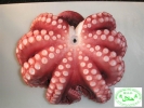 Madako / Tako / Frozen Boiled Whole Octopus (South Africa Origin) (Halal Certified) Octopus