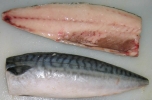 Norway Saba Fillet 