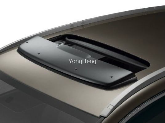 CRV MoonDoor Visor