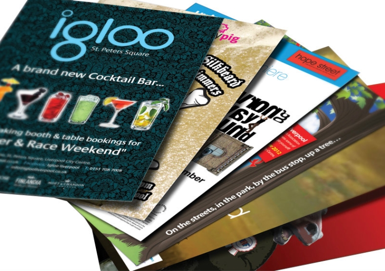  Flyers / Brochures