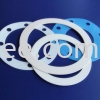 PTFE gasket PTFE PVDF Products