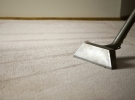  清洗地毯 地毯