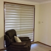  Zebra Blinds Window Blinds