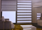  Zebra Blinds Window Blinds