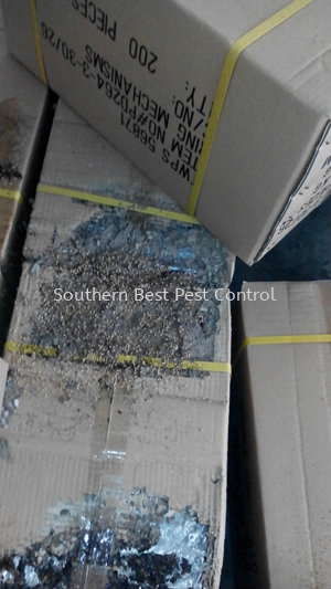 Termite Control Termite Control