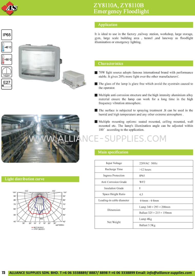 ZY8110A, ZY8110B Emergency Floodlight Fixed Emergency Lights INDUSTRIAL LAMPS/ EXPLOSION-PROOF LIGHTING