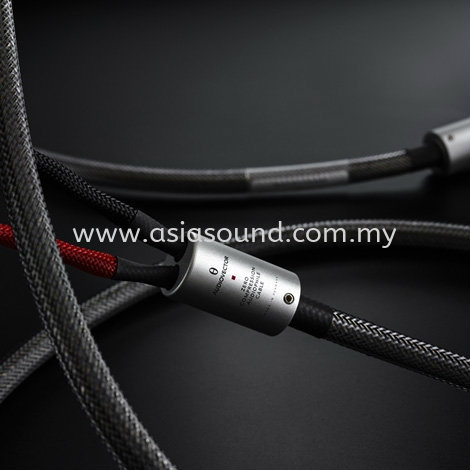 Zero Compression Avantgarde Arrete Speaker Cables AudioVector