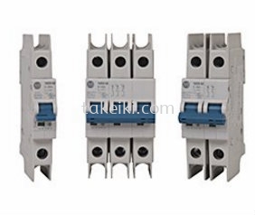 AB Thermal-magnetic Circuit Breakers 1489-M 