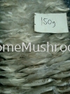 Oyster Mushroom Oyster Mushroom