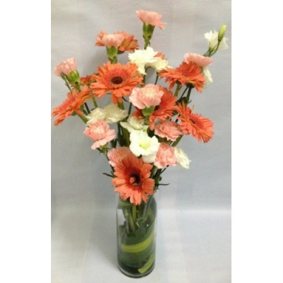 Gerberas Vase Arrangement (VA-007)