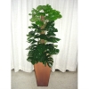 Split Leave 4ft (FS-004) Artificial Plant (Sell & Rent)