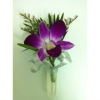 Orchid Bom Corsage (CC-003) Corsage Bridal Bouquet