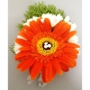 Orange Geberas Corsage (CC-008) Corsage Bridal Bouquet