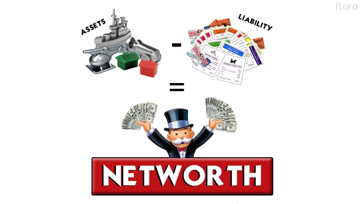 Net Worth 