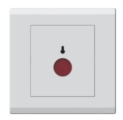 Alarm Switch