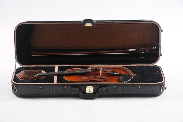 Violin Case-Oblong violin case - RM 350