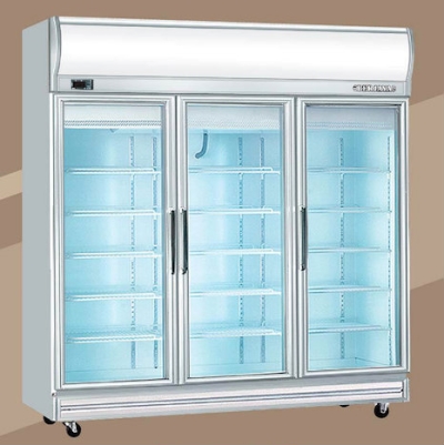 Display Freezer - BERJAYA