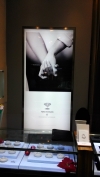 Light Box Display System