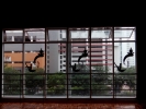 Window Display