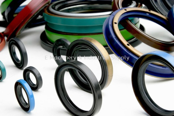 Oil Seal