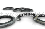 Bonded Seal Bonded Seal Seals