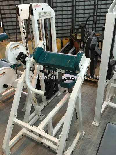 Used Bodymaster Bicep curl (SOLD)